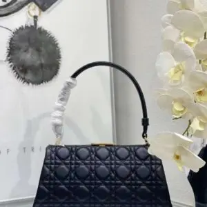 Dior Top Handle Bag