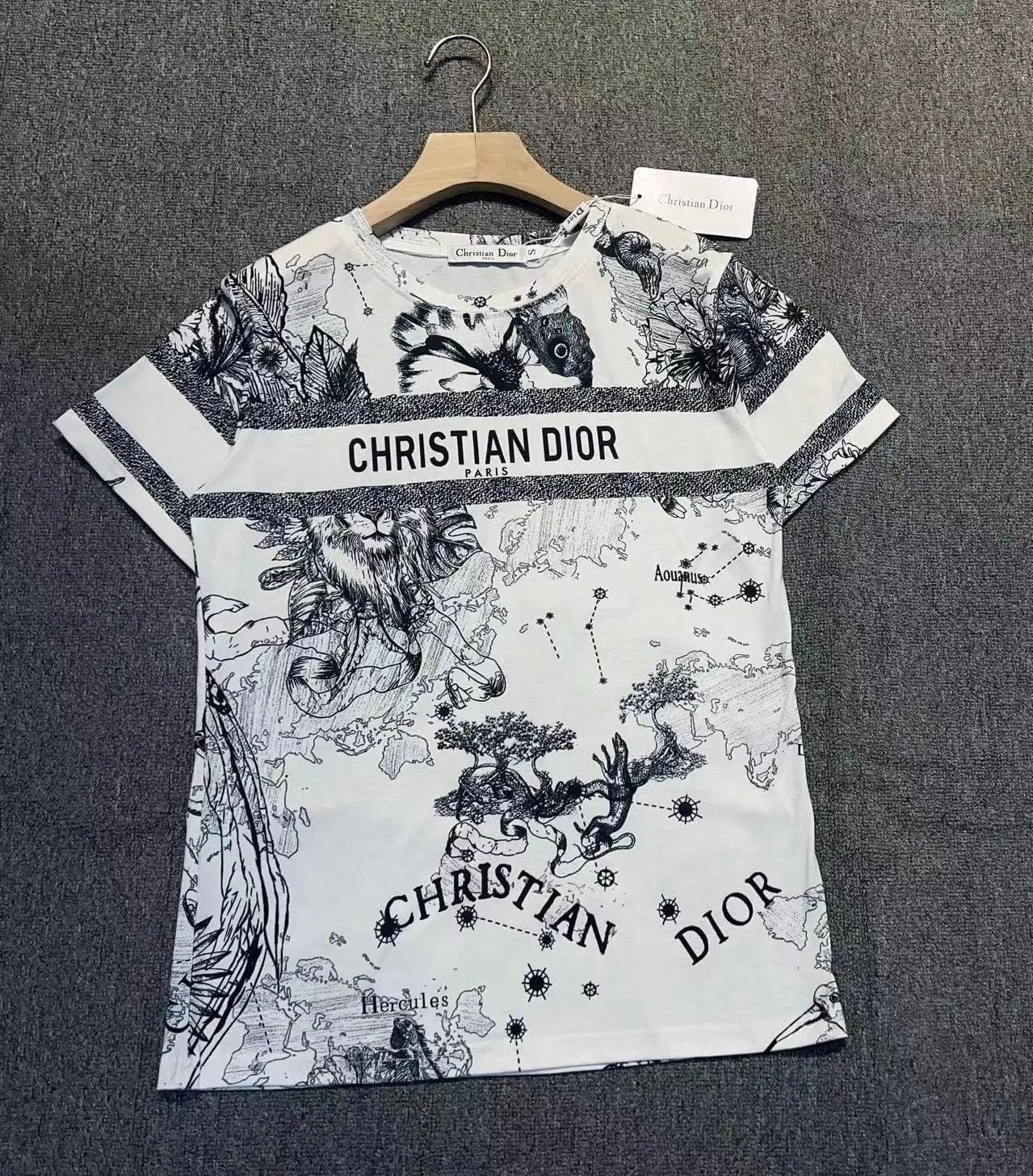 Christian Dior Cloud Print Oversized T-Shirt Christian Dior Cloud Print Oversized T-Shirt