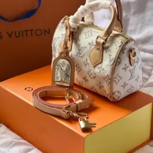 Louis Vuitton Micro Speedy Bag