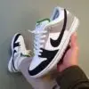 Nike SB Dunk Low
