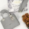 Dior Lady D-Lite Bag