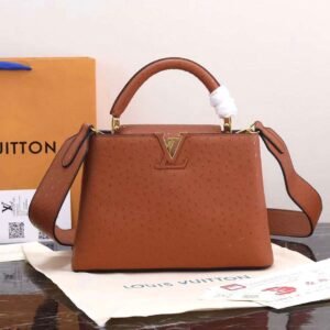 Louis Vuitton Capucines Handbag