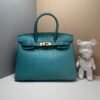 Hermès Birkin Bag