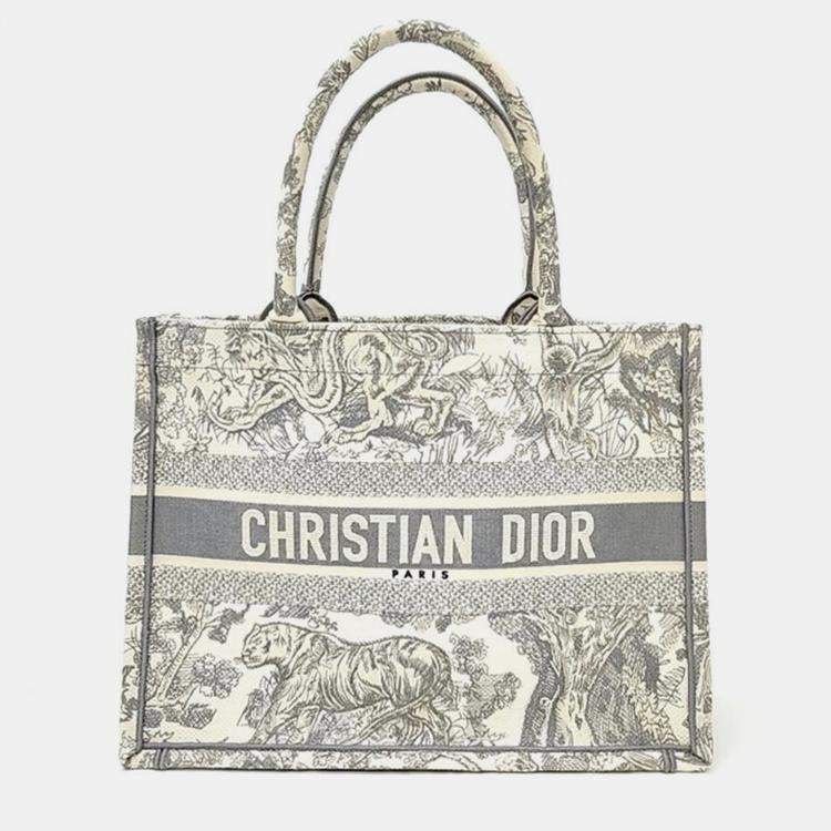 DIOR Book Tote Bag DIOR Book Tote Bag