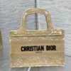 Dior Book Tote Bag