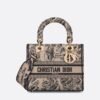 DIOR Lady D-Lite Bag