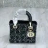 DIOR Medium Lady D-Lite Bag
