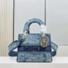 DIOR Lady D-Lite Bag