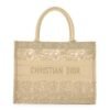 Dior Book Tote Bag