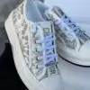 DIOR B33 Low Sneaker