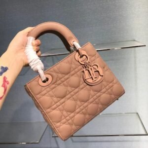DIOR LADY BAG