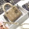 DIOR Lady Mini Bag