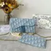DIOR Saddle Wallet on Chain