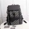 DIOR Saddle Backpack