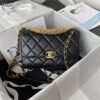 CHANEL Classic Flap Bag