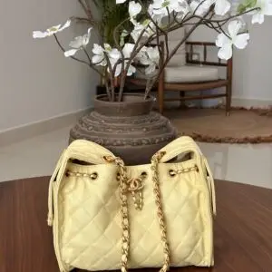 Chanel 25 Small Handbag