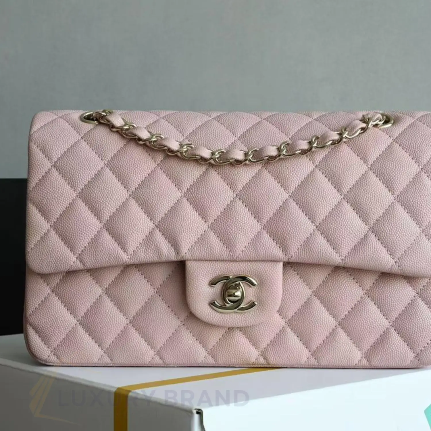 CHANEL Classic Flap Bag CHANEL Classic Flap Bag