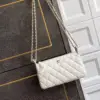 CHANEL Gold Ball Mini Case Lambskin Crossbody Bag