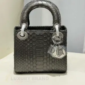 DIOR Lady D-Joy Bag