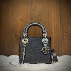 DIOR Lady D-Joy Bag