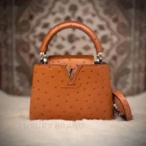 Louis Vuitton Capucines Mini Bag