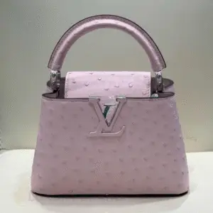 Louis Vuitton Mini Capucines Bag