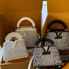 Louis Vuitton Capucines Nano Bag