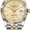 Rolex Datejust Gold Palm Motif Dial 126233 36 mm
